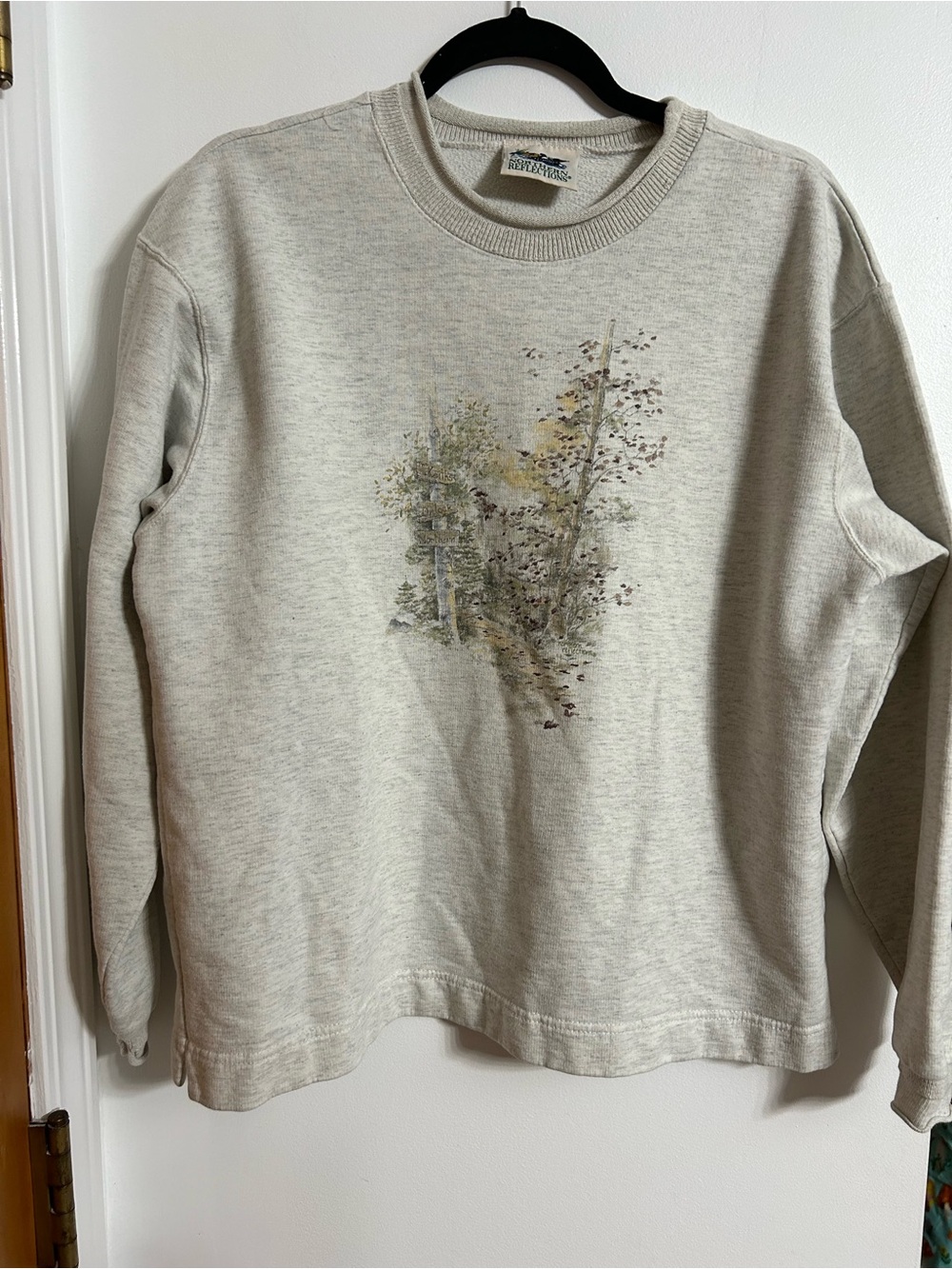 Northern Reflections Oatmeal Crewneck Sweater with Nature Graphic